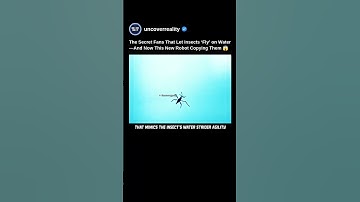 The Secret Fans That Let Insect Fly On Water. Now This Robot Is Copying Them 😱 #robot #shorts #tech