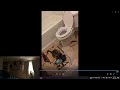 Trained my Kitty 2 use the potty