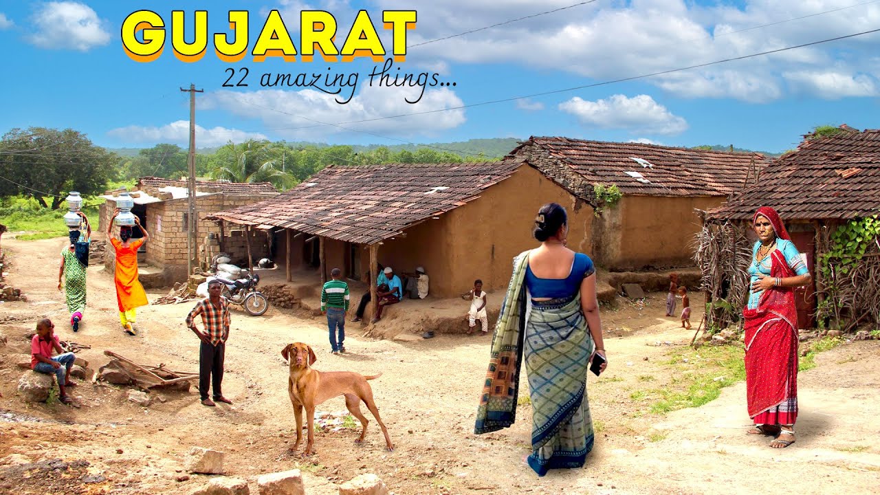    22    22 AMAZING THINGS ABOUT GUJARAT