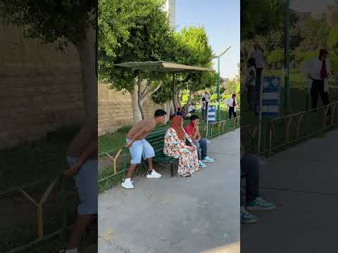 الست الكبيرةخافت من القطة