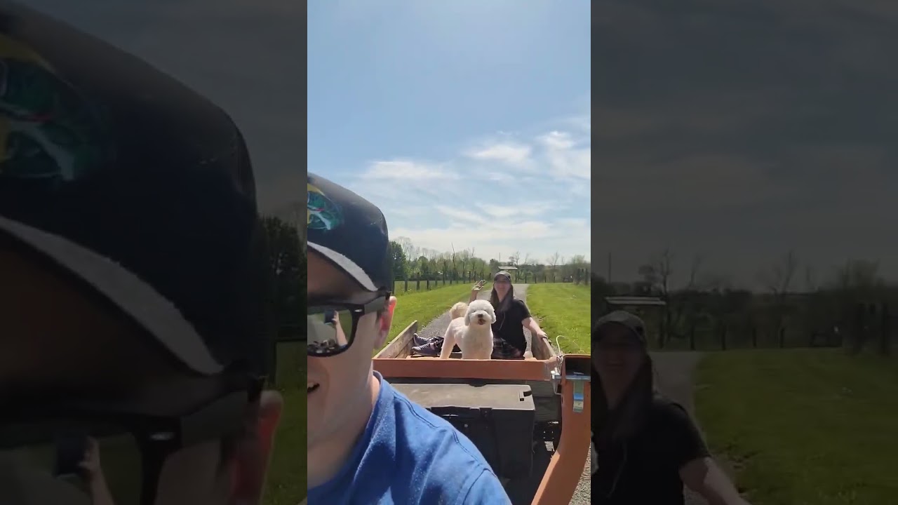 Loading hay from the barn and the dog (Finley) decided to help out.