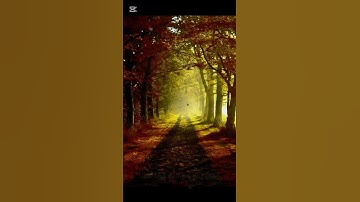سورة المؤمنون(آية ١١٥ _إلي_ ١١٨) _________________________*صوت» الشيخ» هيثم الدخين.*