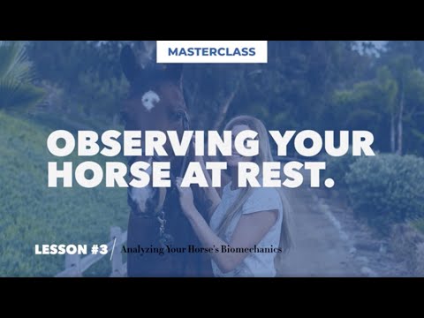 Equestrian Masterclass: Carolyn Cohen
