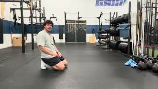 Bear Plank Toe Tap