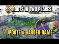 Roots in Two Places | Garden Update &amp; Garden Name Revealed 🌿