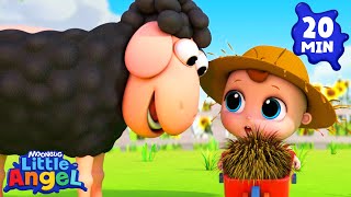 baa baa black sheep 1 animal learning videos little angel
