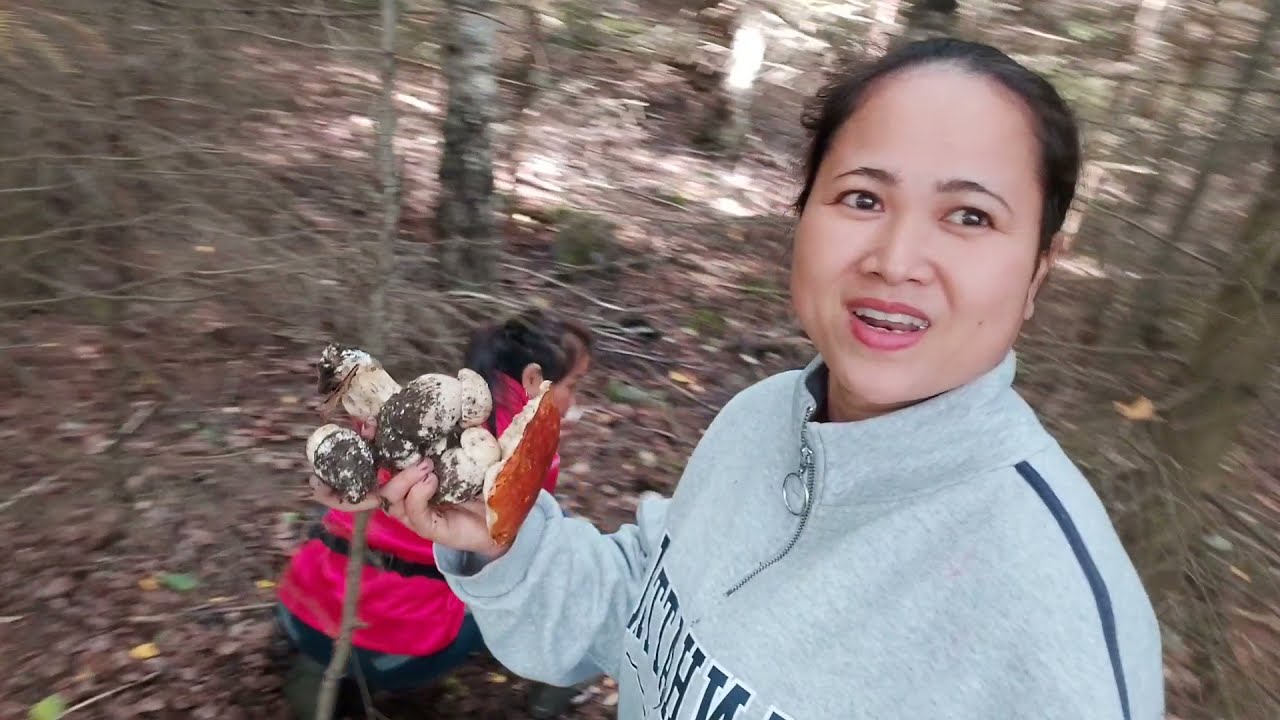 Take mushroom in forest with thai friend,Finland ដកផ្សិតក្នុងព្រៃជាមួយមិត្តភក្ក័ថៃ,ហ្វាំងឡង់