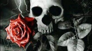 1V1 Sniper Ruined Shotssyrx 50 Kills One Shot.