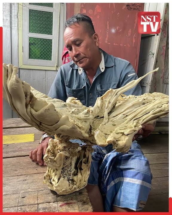 Terengganu man at the centre of attention after mysterious beach find