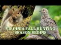 Get ready for hunting season tips for dove and squirrel