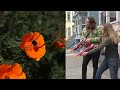 Couple Making California Streets Prettier With ‘Guerrilla Gardening’