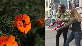 Couple Making California Streets Prettier With ‘Guerrilla Gardening’