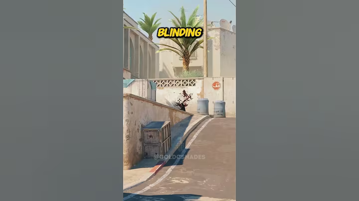 LONG ENTRY FLASH ON DUST 2 #shorts #cs2