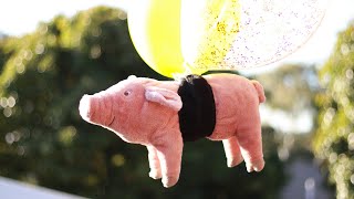 Flying Pig Song Porky With Balloons