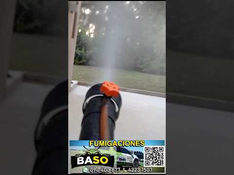 Fumigaciones BaSo
