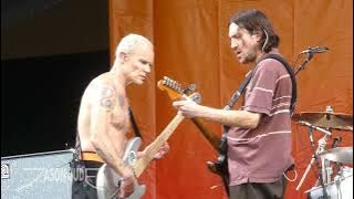 Red Hot Chili Peppers - Californication [HD] LIVE Jazz Fest 5/1/2022