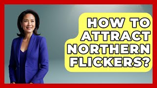 How To Attract Northern Flickers - Bird Watching Diaries