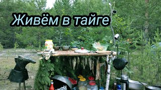 видео: ЖИВЕМ В ТАЙГЕ / ФЛЯГА ОКУНЯ / ЩУКА 10 КГ  #2/2. bushcraft картинка: ЖИВЕМ В ТАЙГЕ / ФЛЯГА ОКУНЯ / ЩУКА 10 КГ  #2/2. bushcraft