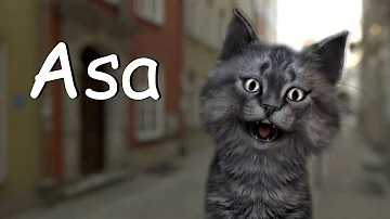 Qual é o significado do nome Asa?