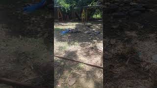 Mahanadi Vihar Colony Sambalpur Kaam Ghar 2026