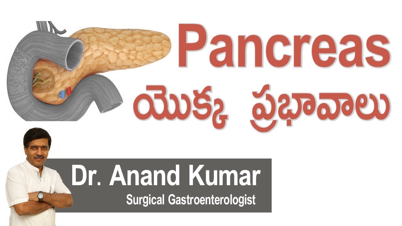 Hi9 | Pancreas యొక్క ప్రభావాలు  | Dr.Anandakumar | Surgical Gastroenterologist