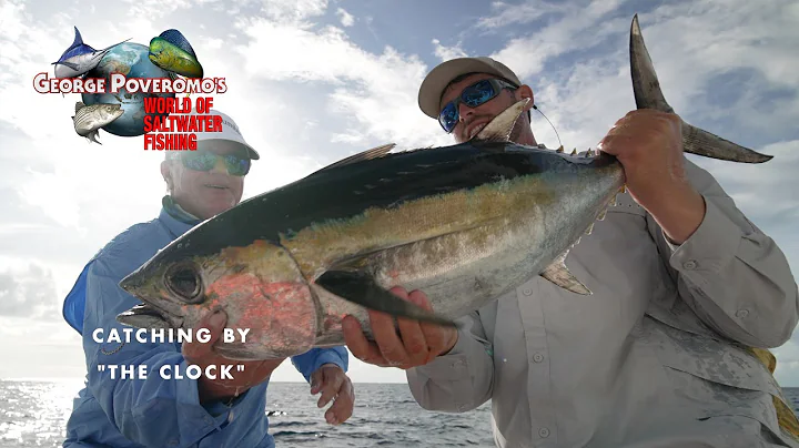 MAHI & BLACKFIN TUNA, FLORIDA KEYS - 2022 SEASON -...