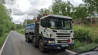 GX010219 NEW FOREST 2022