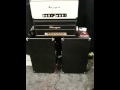 Fargen / Sonic Edge / J. Design cabs @ Summer NAMM 2010