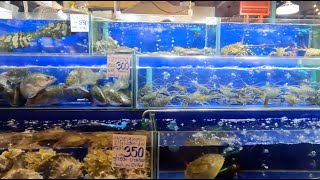 自驾泰国从北到南5经过曼谷去最值得去的曼谷海鲜市场Bangkok, the most worth visiting Bangkok seafood market?