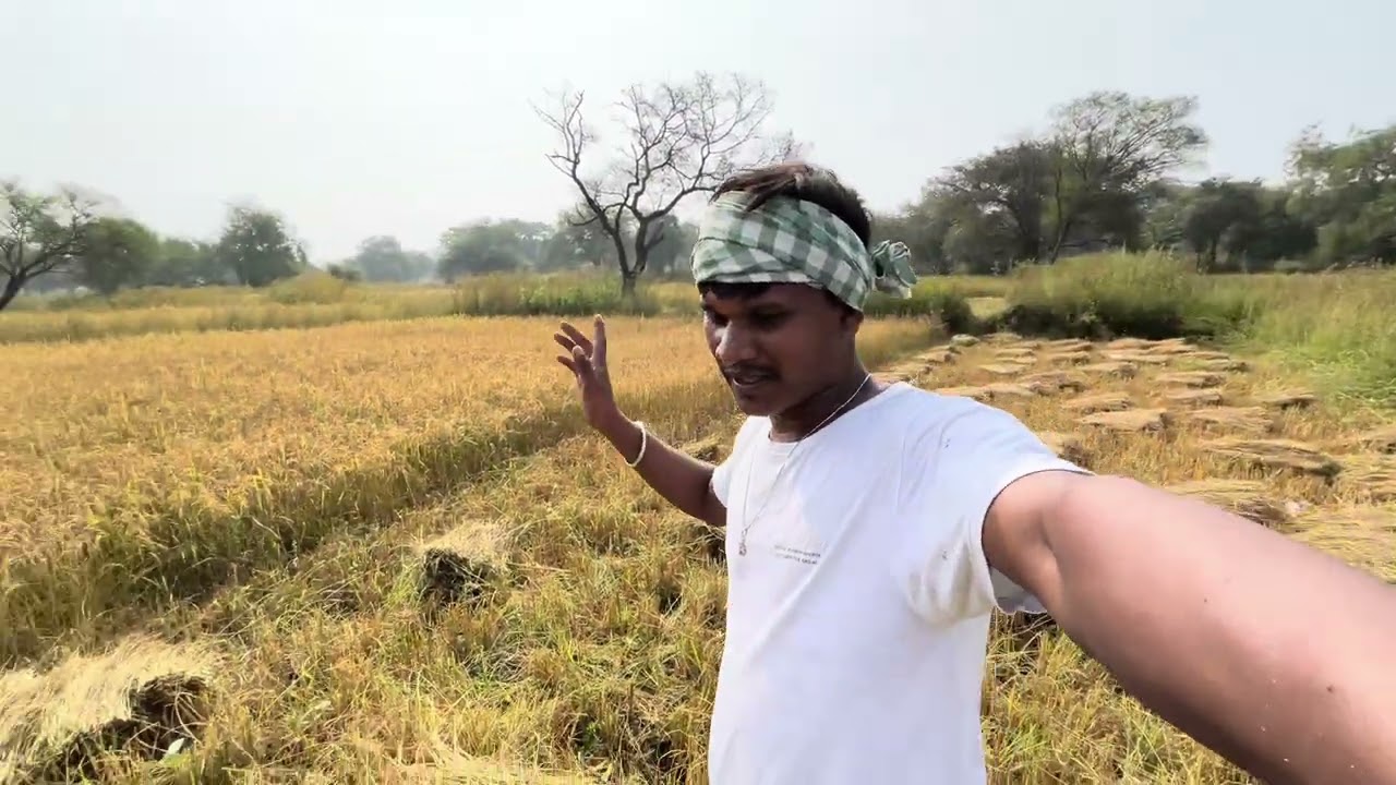 Hame jathi dhan katek