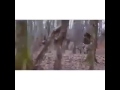 اغنيه كردية
