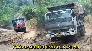 Pendatang Baru TATA LPT 913 Namun Toyota Dina Tetap Mencuri Perhatian Di Tanjakan Angker