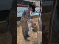 Watch a mobile farrier work the ancient art of shoeing a horse
