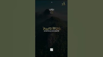 بداية سورة التوبة الشيخ ماهر المعيقلي..🤲🤲🤲