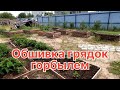 Обшивка грядок горбылём