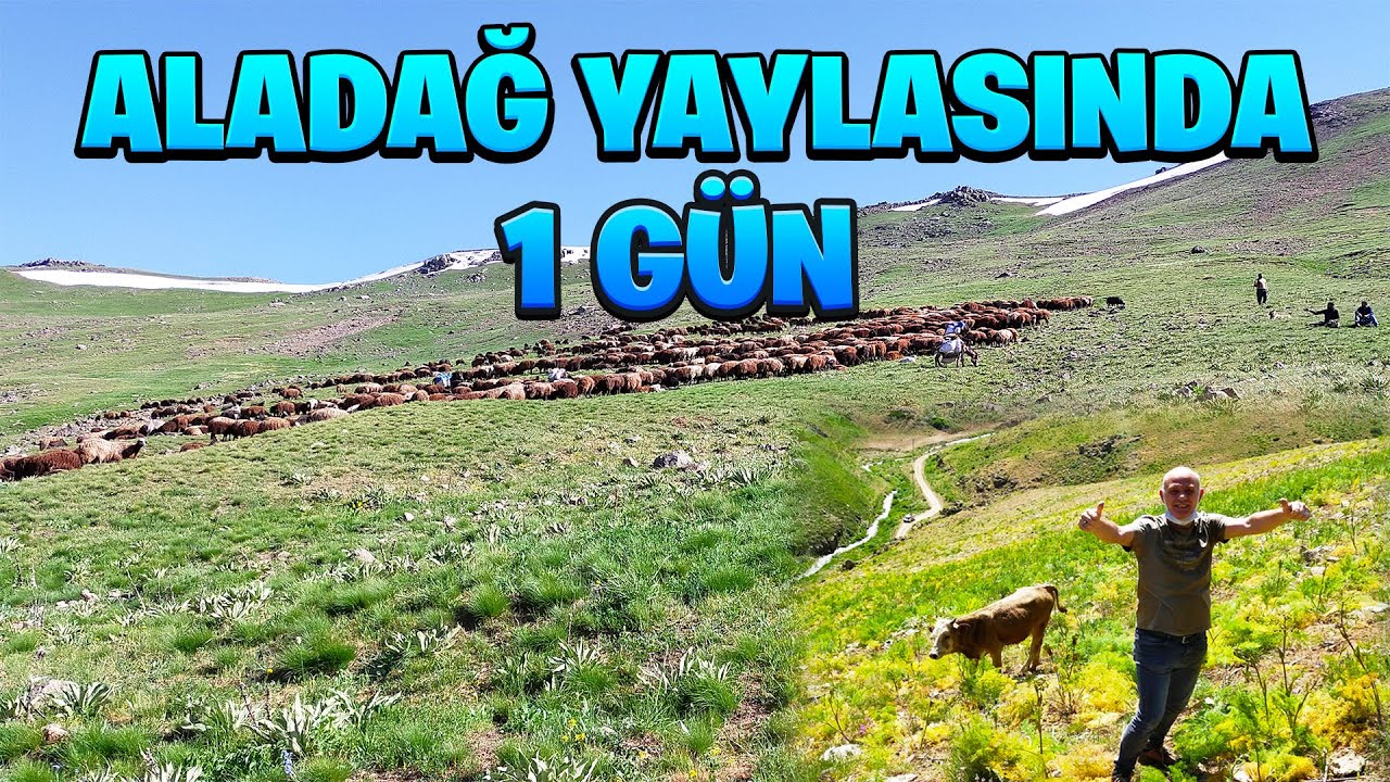 AĞRI ALADAĞ YAYLASINDA 1 GÜN ! | 2022 KURBANLIKLARI !!!!