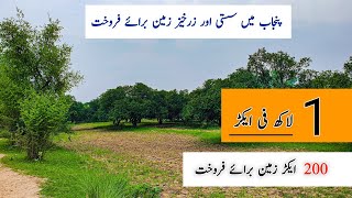 Agriculture land for sale in Punjab Pakistan | land for sale in Punjab Pakistan | zameen for sale