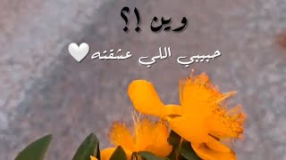 حالياً أحتاجك ! ? وين محبتك الي وخوفك عليي ! (بسام مهدي ) #حالات_واتس_اب