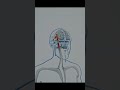 This Is How Skills Are Built Inside Your Brain #shorts #motivation