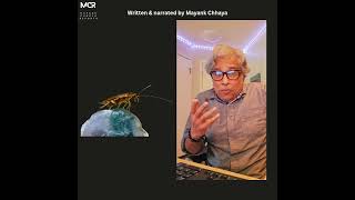 A nerds short bit about cockroaches.