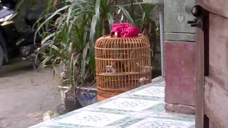 WP 20160414 002
