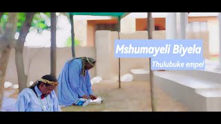 Mshumayeli Biyela | Izinto ezibhidliza imizi nezinto eziyakhayo
