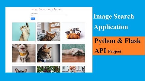 Image Search App with API | Python Flask Project