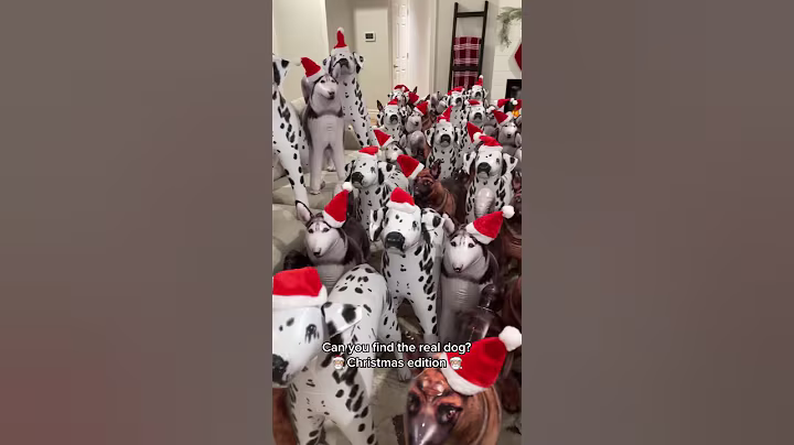 Can you find the real dog? #shorts