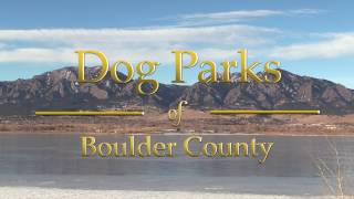 Dog Parks of Boulder County: The Great Bark
