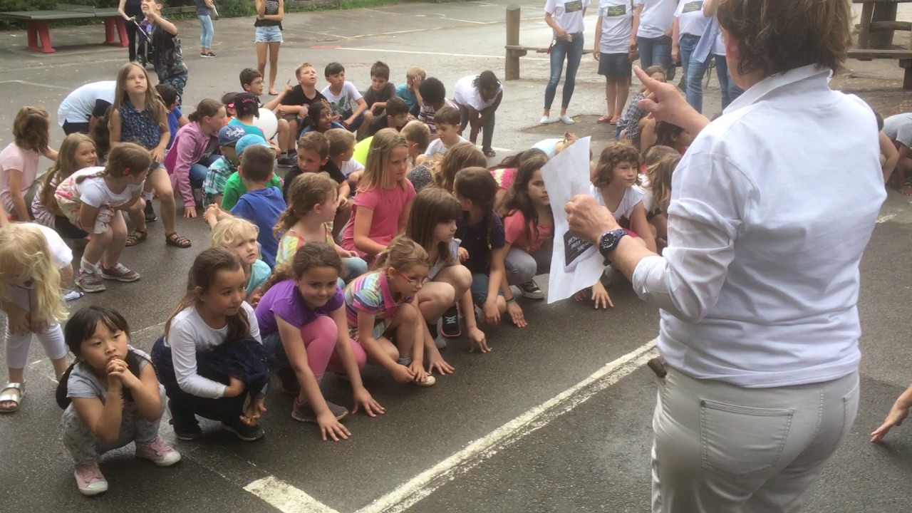 Schulbetreuungen Sozialdienst Katholischer Frauen