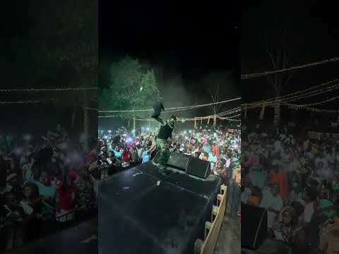 BAYIMBA FESTIVAL ❤️🦍