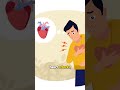 Worried About High Cholesterol Levels?