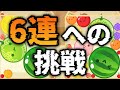 【世界初】6連ダブルスイカ達成！！！！！！！！！！！！！！【スイカゲーム】