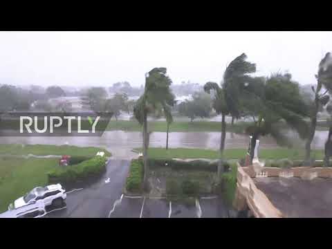 USA: Palm trees wobble as Irma slams Naples